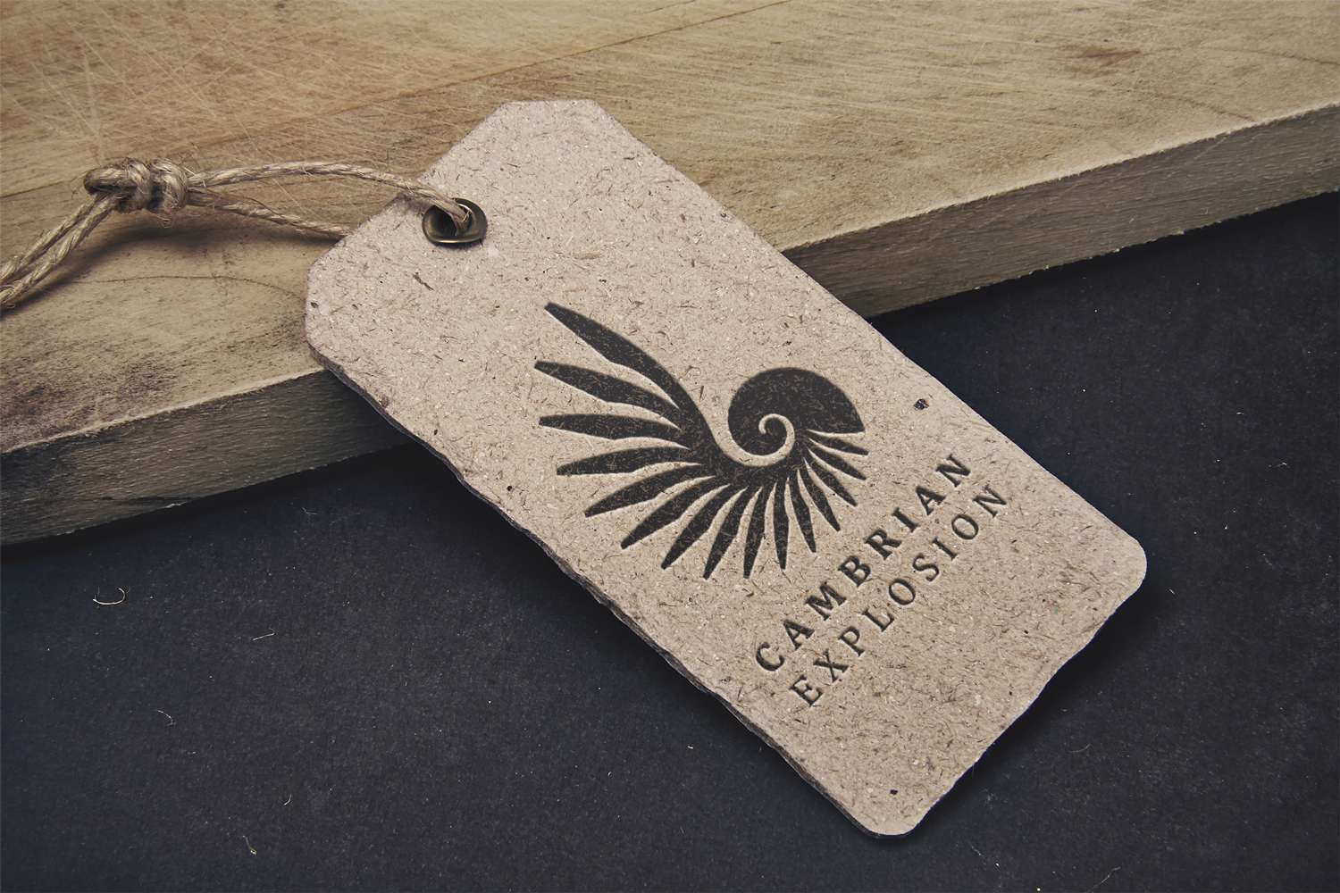 Logo Design by TheLeapFrogdesigns for Cambrian Sweden | Design #14448693