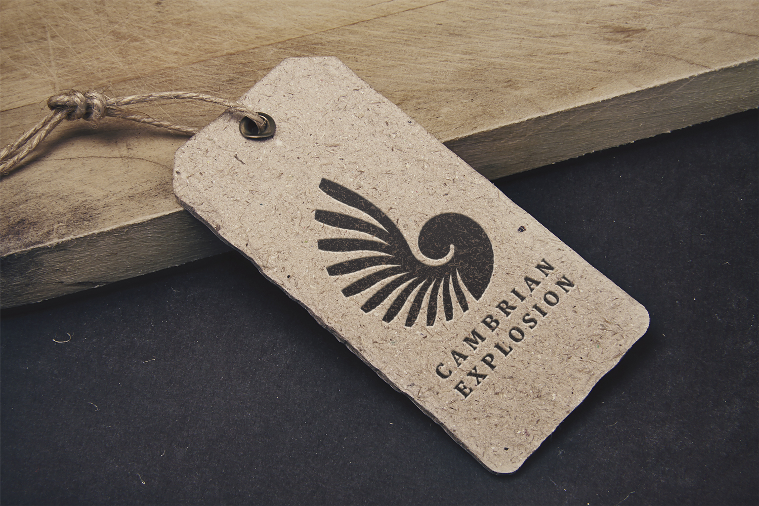 Logo Design by TheLeapFrogdesigns for Cambrian Sweden | Design #14461278