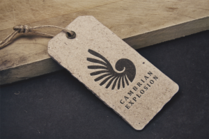 Logo Design by TheLeapFrogdesigns for Cambrian Sweden | Design #14461278