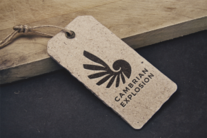 Design de Logo par TheLeapFrogdesigns pour Cambrian Sweden | Design : #14565430