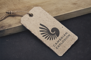 Design de Logo par TheLeapFrogdesigns pour Cambrian Sweden | Design : #14574042