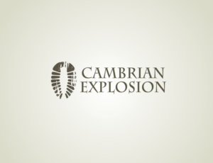 Logo Design by MOH Studio for Cambrian Sweden | Design: #14442982