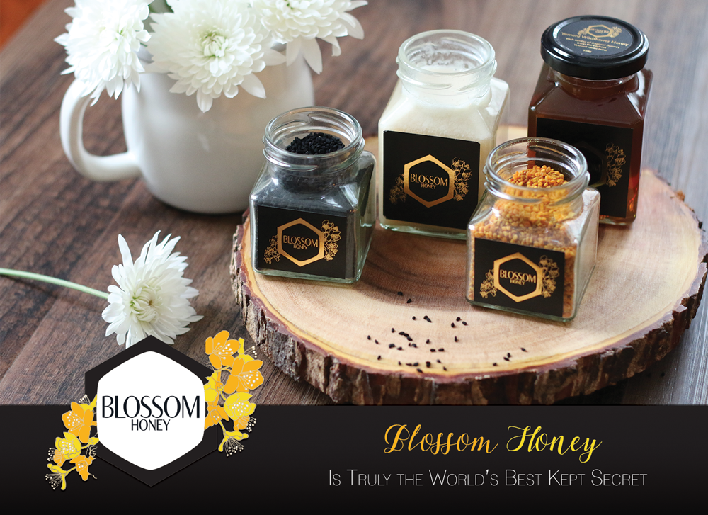 Catalogue Design by aniep for this project | Design #14435840