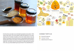 Katalog-Design von ESolz Technologies