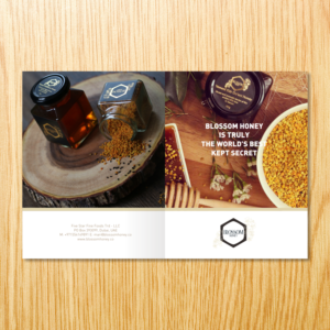 Catalogue Design by barinix