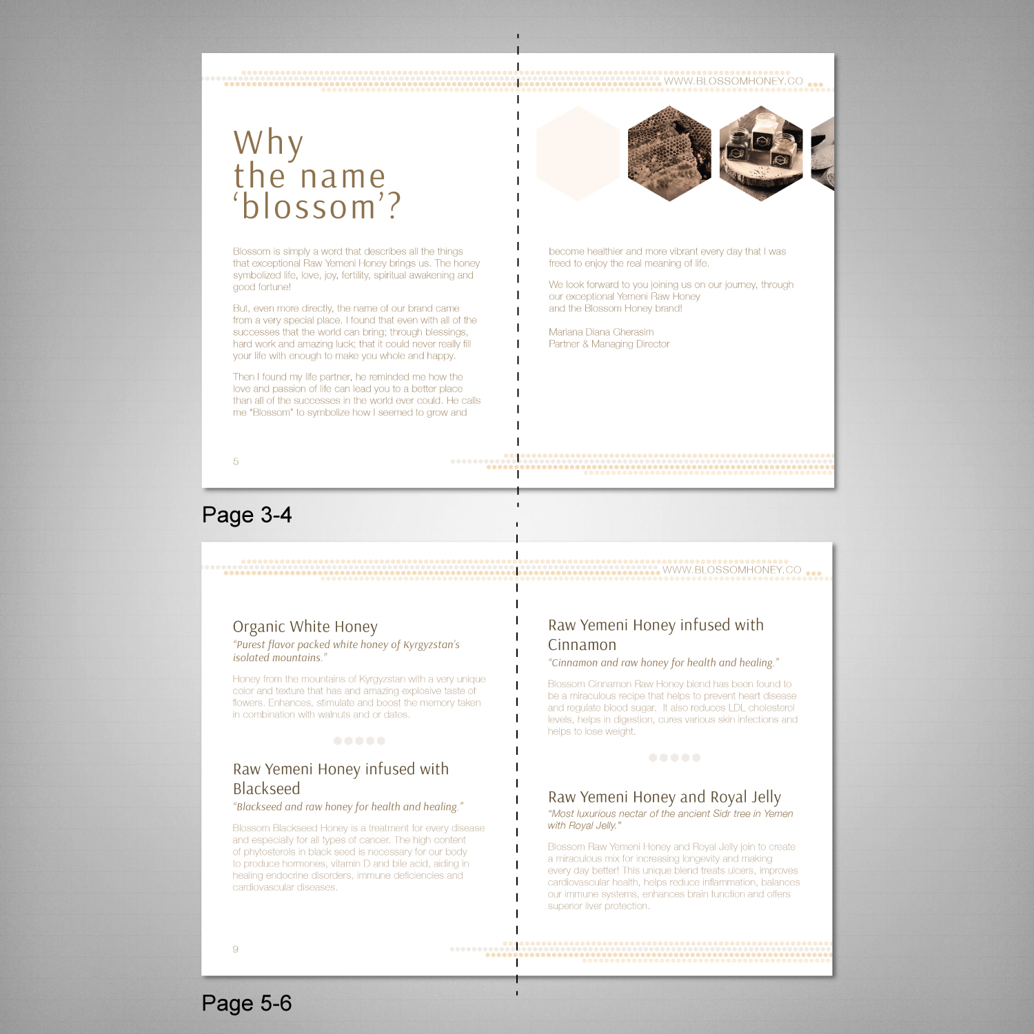 Catalogue Design by Alison for this project | Design #14515546