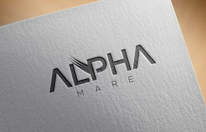 Logo Design by esolztech for Expertrev Enterprises LLC | Design #14414292