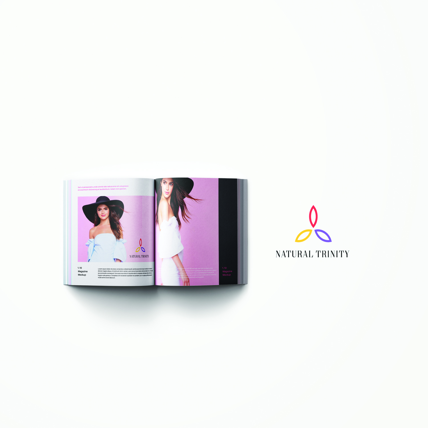Logo Design by Filo F for Natural Trinity | Design #14432754