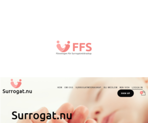 Logo Design by King Cozy for Biovisor Medical AB | Design: #14531672