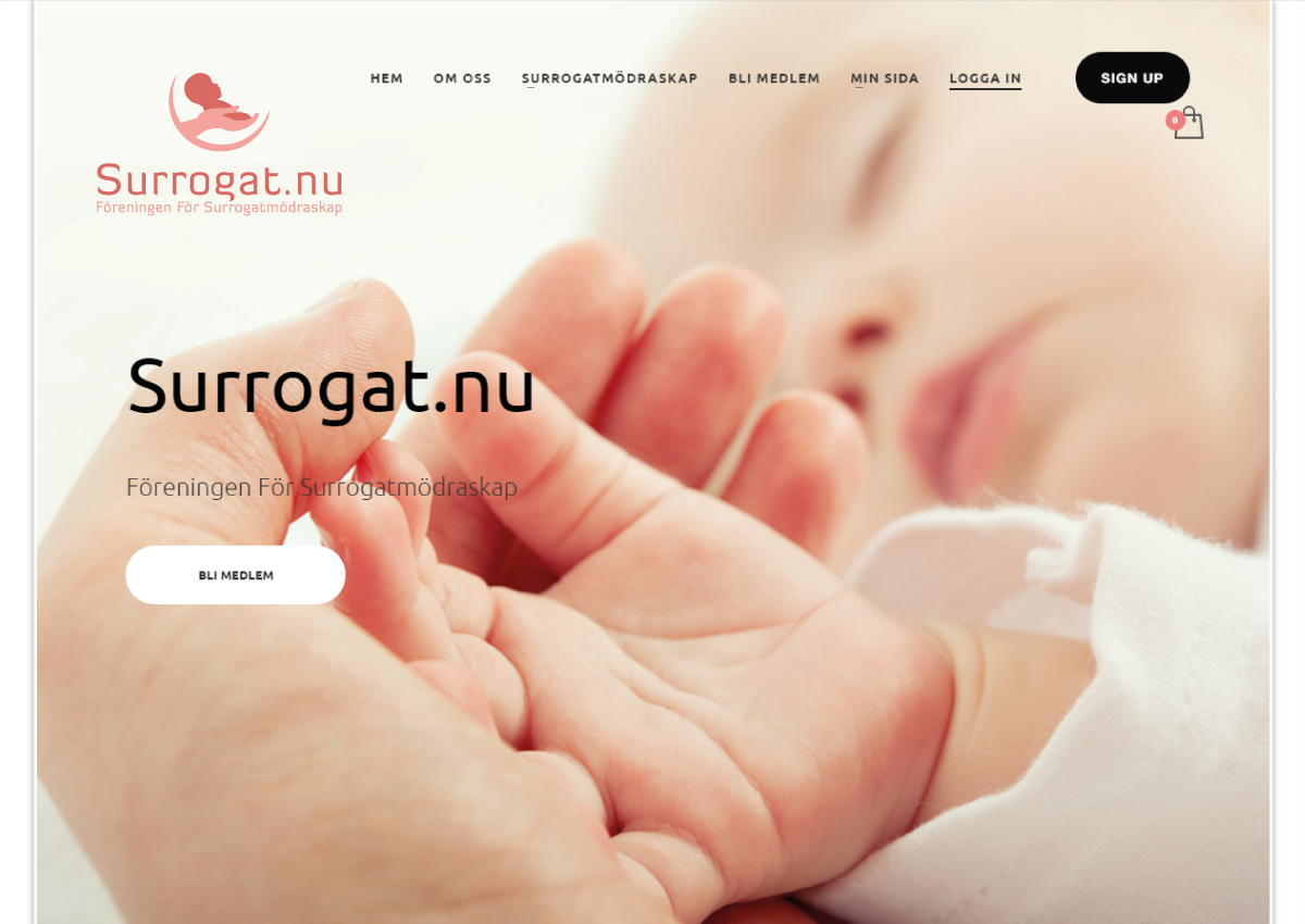 Logo Design by Azus for Biovisor Medical AB | Design #14533925