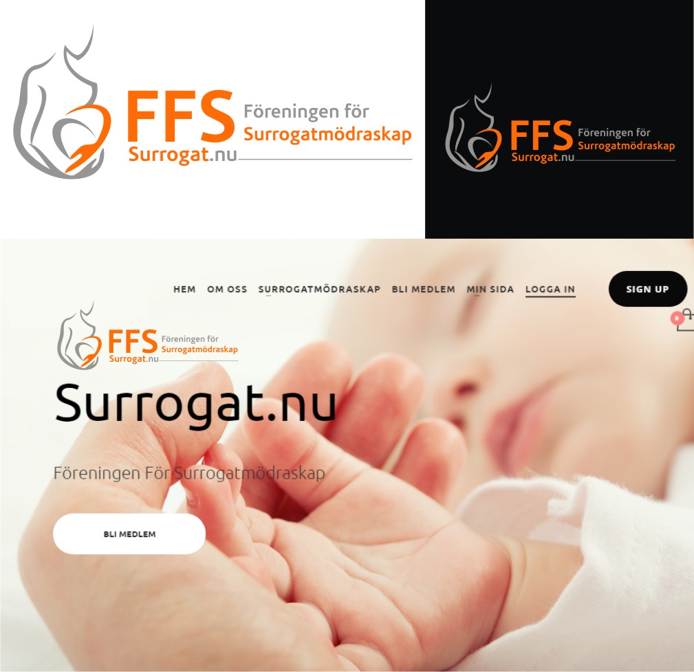 Logo Design by Soul Light for Biovisor Medical AB | Design #14446887