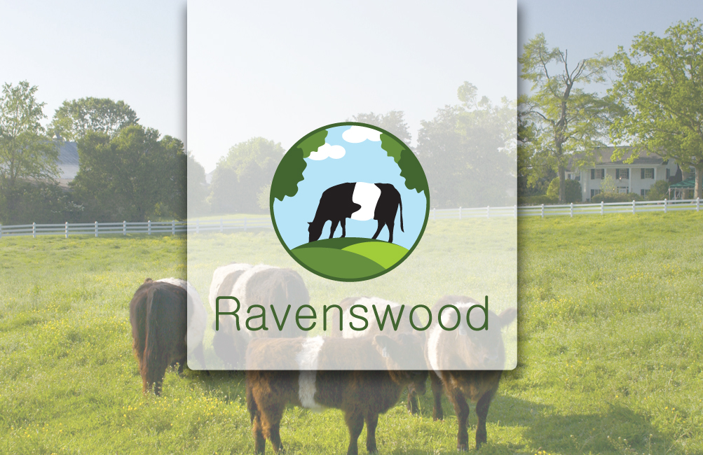 Logo Design by Florin for this project | Design #2551556