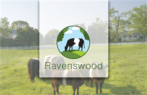 Logo Design by Florin
