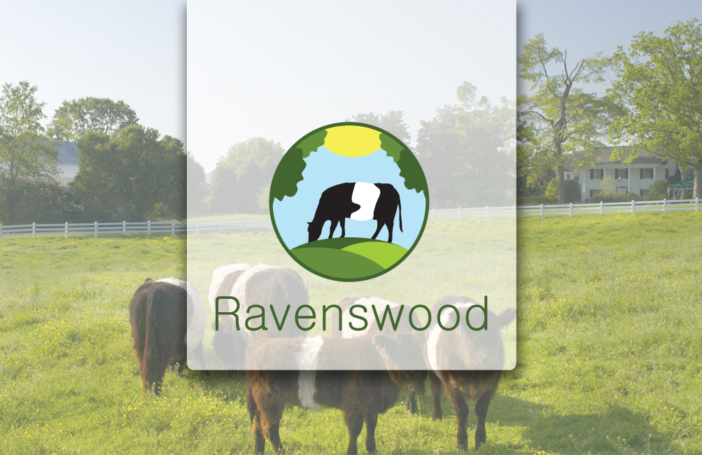 Logo Design by Florin for this project | Design #2551558