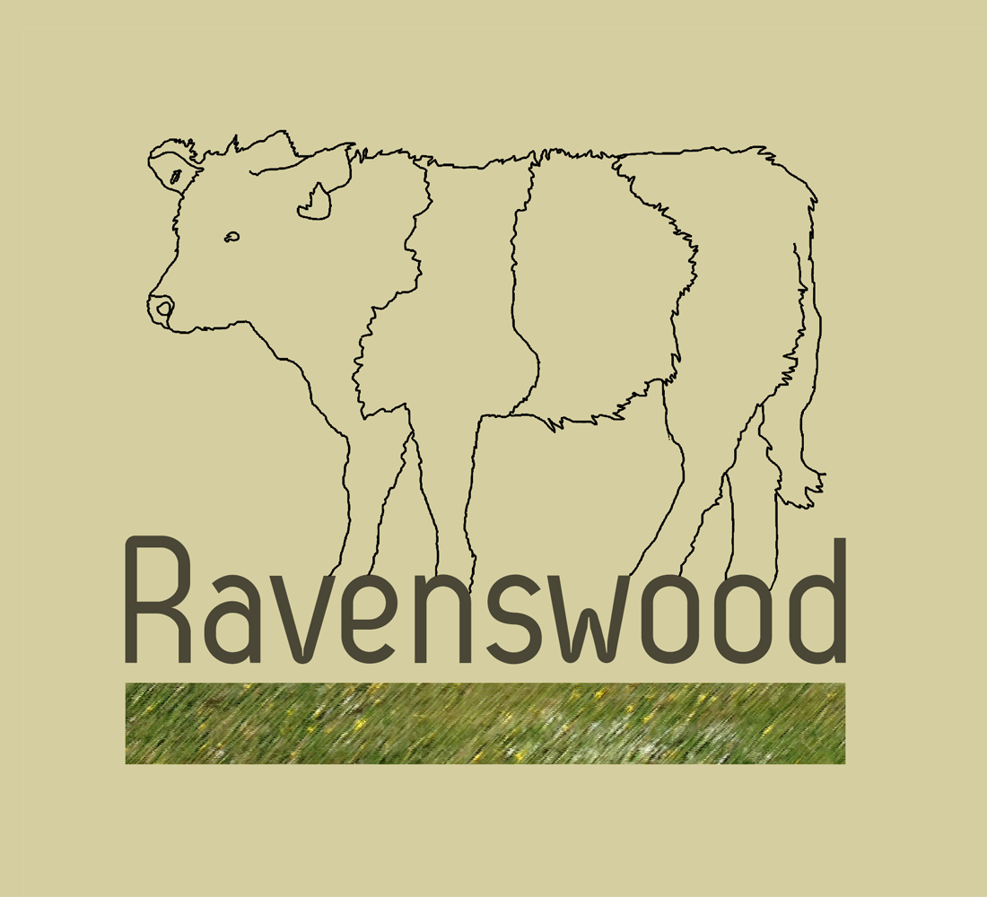 Logo-Design von M Ashworth Design für dieses Projekt | Design #2576012