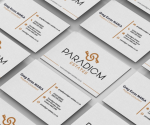 Design de Carte de Visite par RetroDesign pour Plasso | Design : #14457510