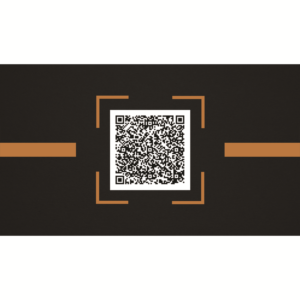 Design de Carte de Visite par Identity Makers pour Plasso | Design : #14455586