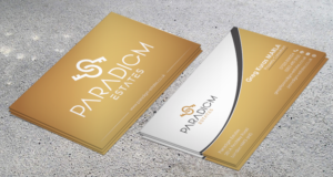 Design de Carte de Visite par Md. Imam Hasn Gazi pour Plasso | Design : #14480057