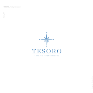 Diseño de Logo por AU9USTO para Centinela Steel  | Diseño: #14490056