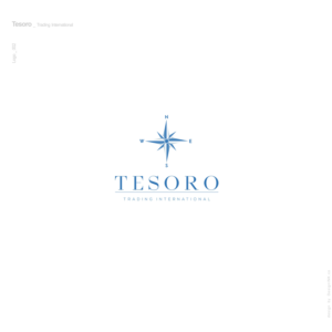 Diseño de Logo por AU9USTO para Centinela Steel  | Diseño: #14490058