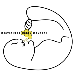 Logo Design by stefaniafortuna