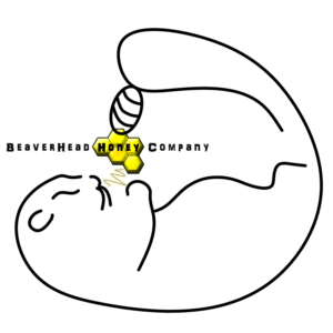 Logo-Design von stefaniafortuna für dieses Projekt | Design: #14446496