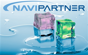 Wordpress Design by Aaron Seven Burns for Navipartner | Design #2598910