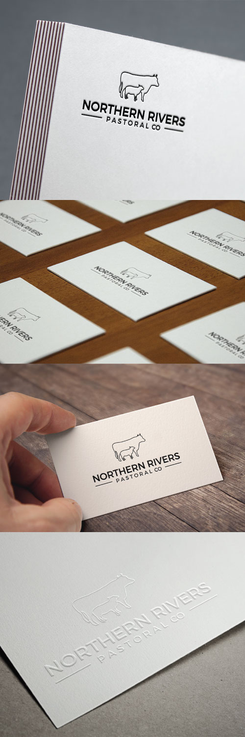 Serious, Professional, Business Logo Design for Northern Rivers ...