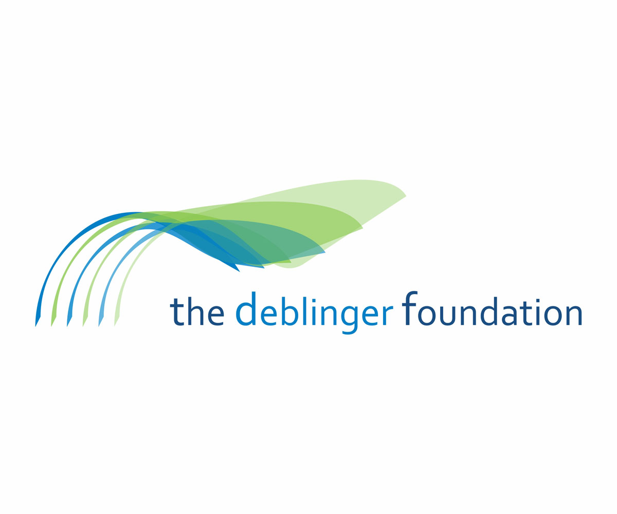 Logo-Design von Luka F für dieses Projekt | Design #2526645