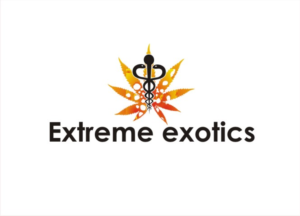 Logo Design by delu 003 for this project | Design: #14501729