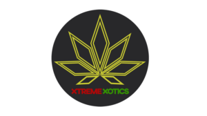 Logo Design by TheCodeTalker