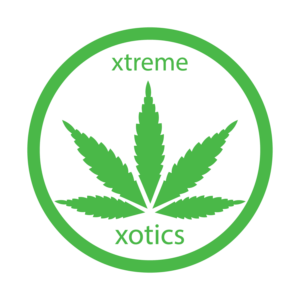 Logo Design by eclipse42