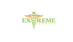 Logo Design by Marketing Wings for this project | Design: #14472566