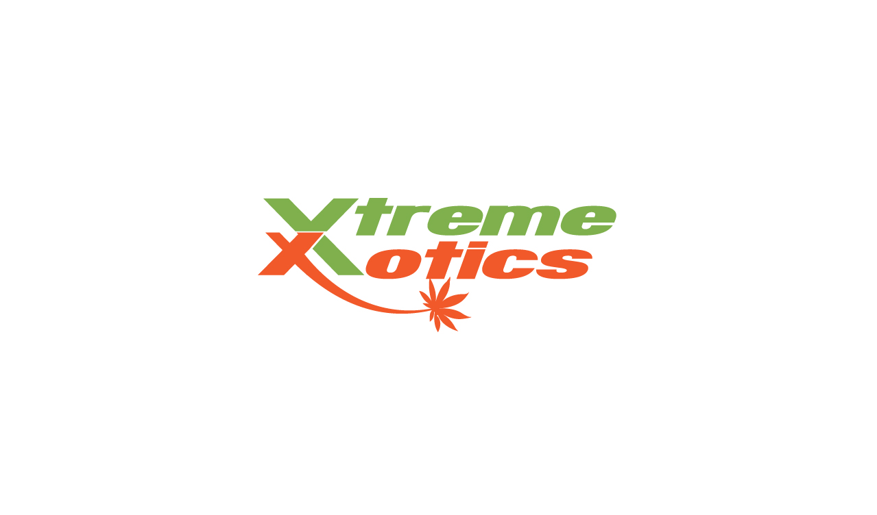 Logo Design by Marketing Wings for this project | Design #14472567