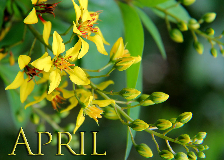 Photography by birdbluff for DesignCrowd (Community Contests) | Design #14469383