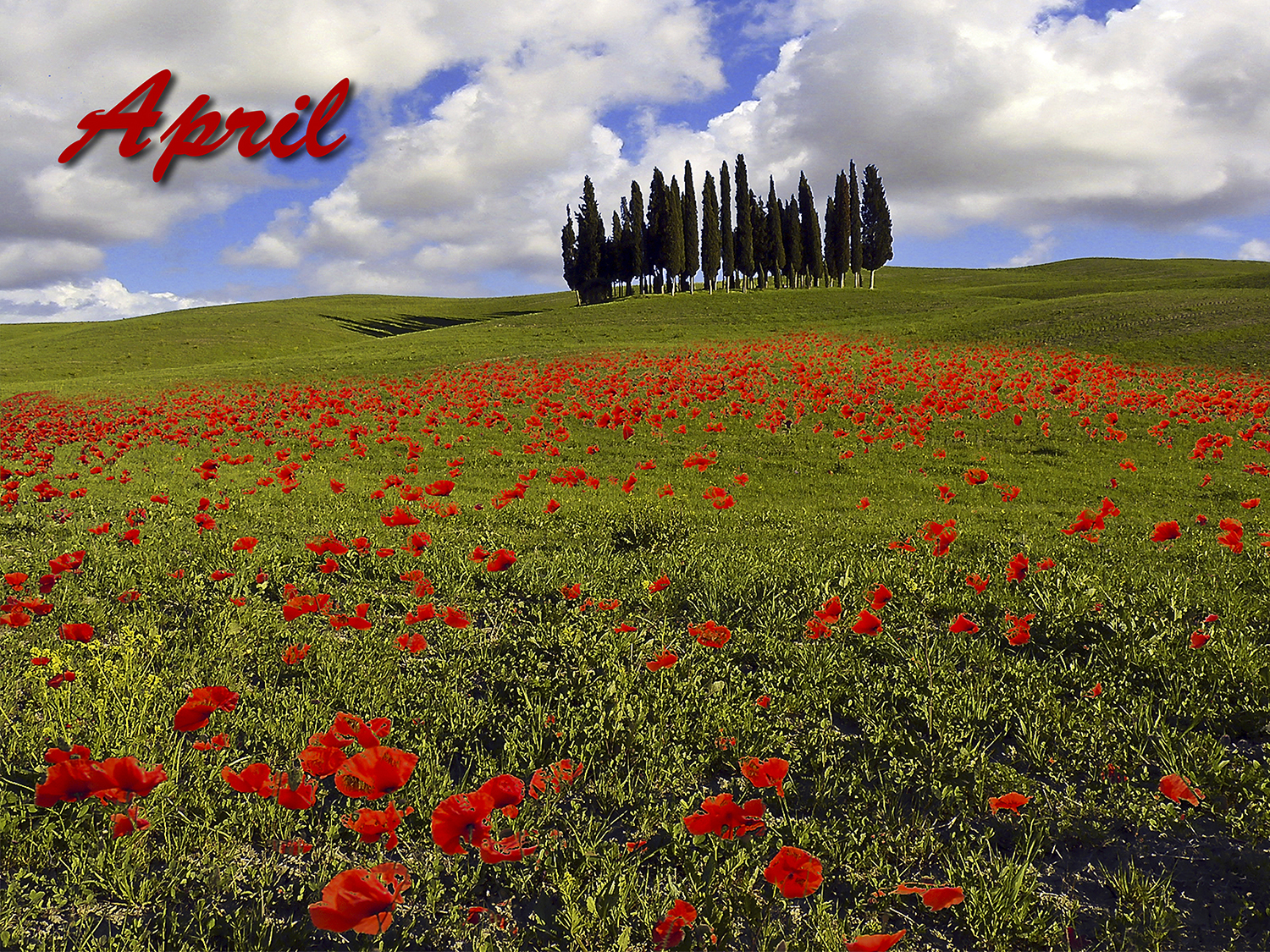 Photography by ricardobbaigorria for DesignCrowd (Community Contests) | Design #14496886