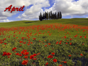 Photography by ricardobbaigorria