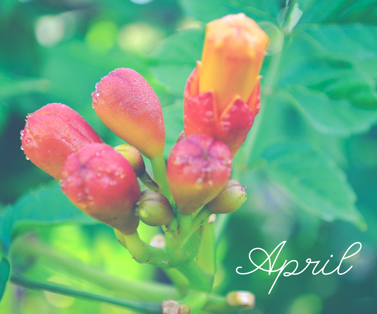 Photography by Mr. Graphilip for DesignCrowd (Community Contests) | Design #14433650