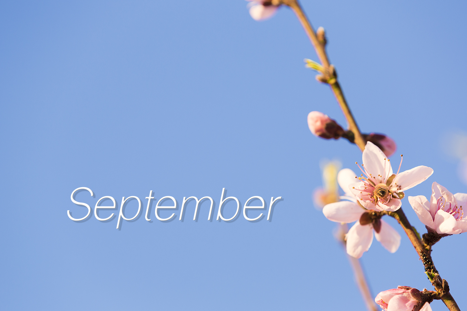 Fotografía por Aaron Phang para DesignCrowd (Community Contests) | Diseño #14506975