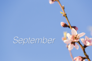 Photography by Aaron Phang