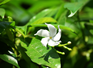 Photography by kracker0778