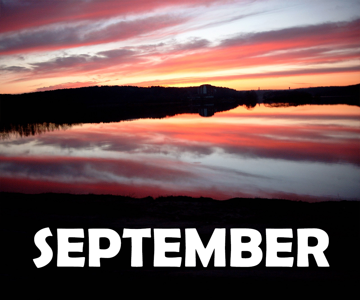 Photography by Jonathan Martel for DesignCrowd (Community Contests) | Design #14497059