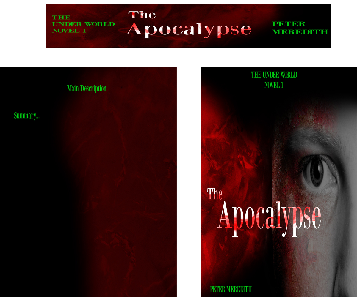 Diseño de portada de libro por cariceane para Peter Meredith | Diseño #2707052