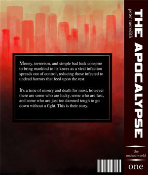 Book Cover Design by Doldrum for Peter Meredith | Design: #2746039