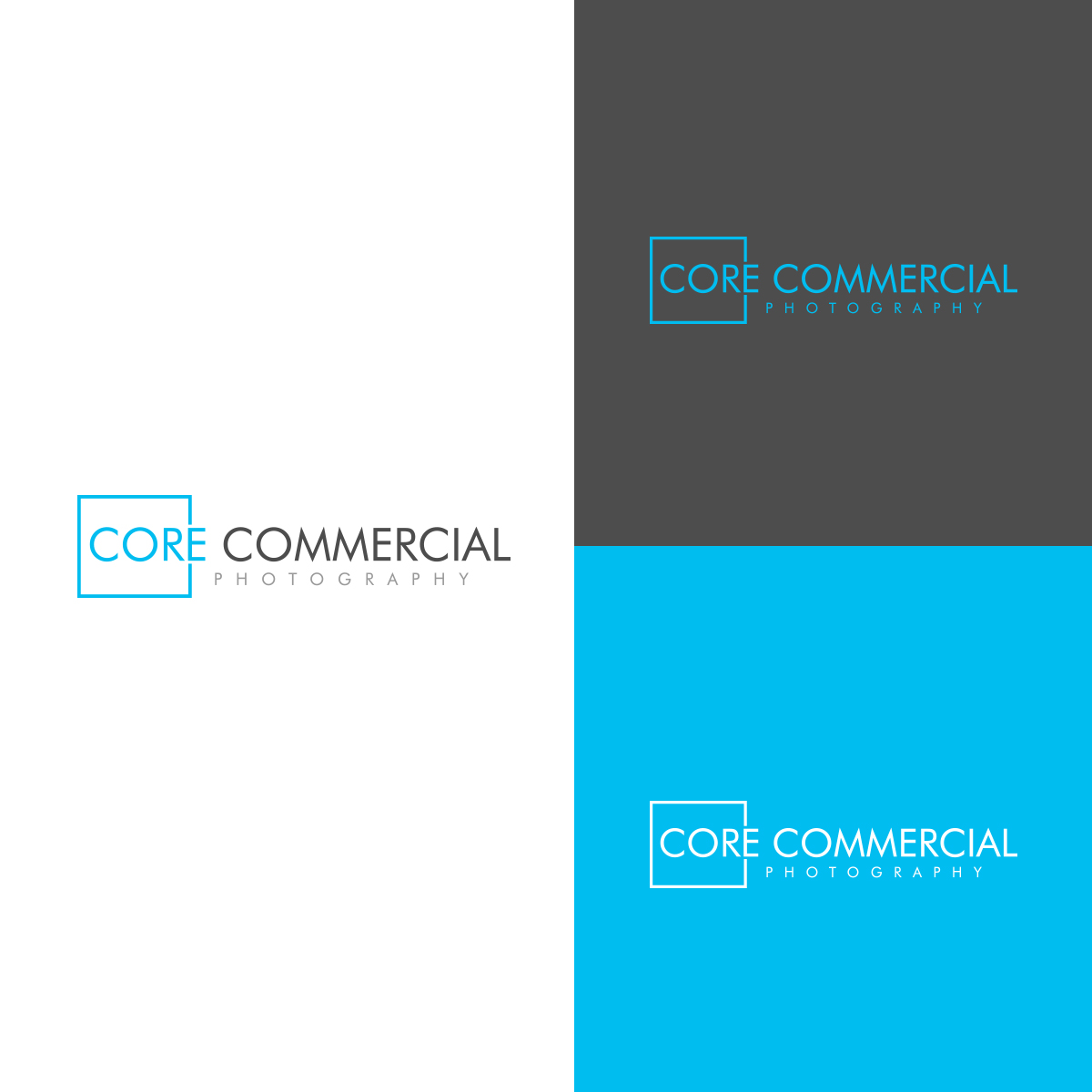 Logo Design by IMD-HUB for David Corey Photography | Design #14476307