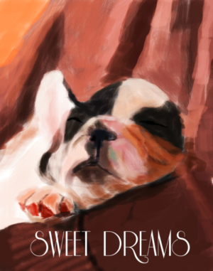 Poster Design by Plastic for Partypairings LLC | Design: #14511871