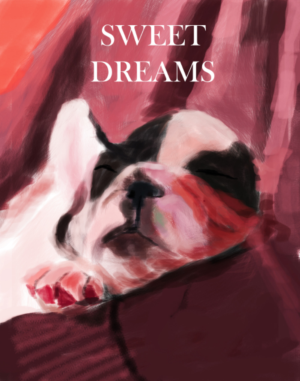 Poster Design by Plastic for Partypairings LLC | Design: #14511872