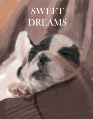 Poster Design by Plastic for Partypairings LLC | Design: #14511942