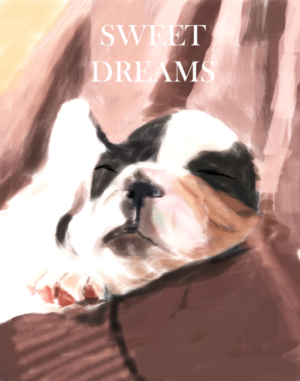 Poster Design by Plastic for Partypairings LLC | Design: #14511944