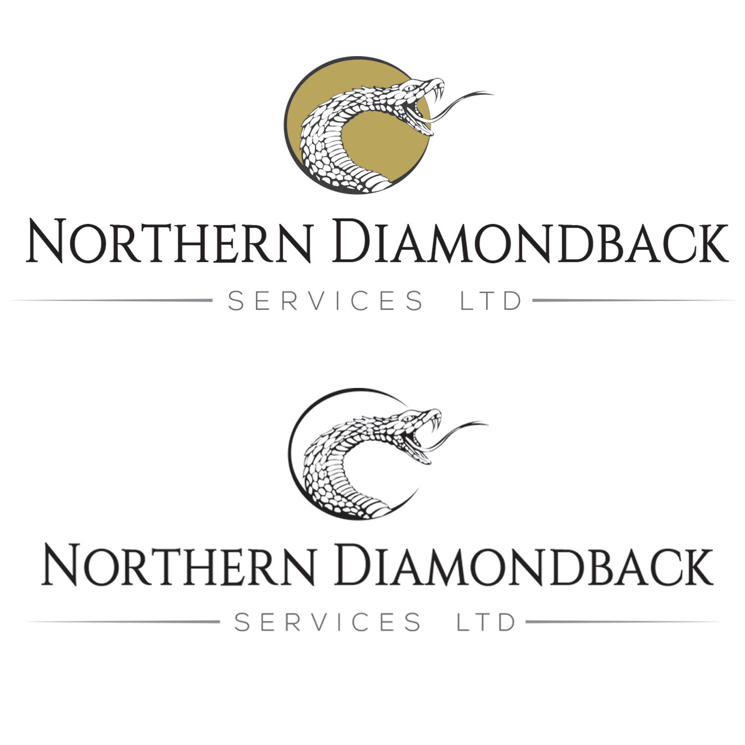 Logo Design by telcstar for this project | Design #14519569